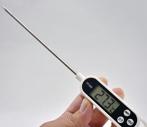 Le dernier type de sonde de thermomètre de barbecue de cuisine 24X1.5CM avec de nombreux types de choix prend en charge le logo personnalisé