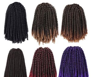 La dernière tresse de ressort de cheveux en fibre synthétique de 8 pouces au crochet sale a de nombreux styles à choisir parmi la personnalisation de support