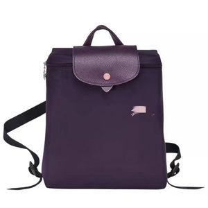 De nieuwste mode nylon waterdichte vrije tijd lichtgewicht sportreizen backpack computer tas schoolbag 26*10*28