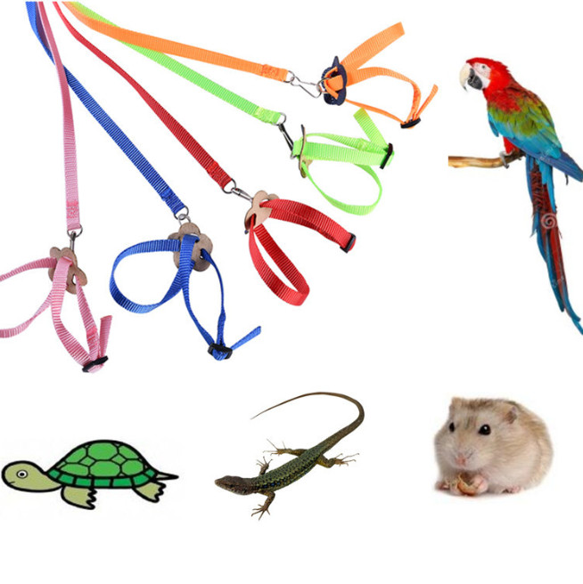 De nieuwste nieuwe kleine dieren papegaaien vogel hamster schildpad hagedis tractie touw tractie band riem tractie touw, gratis verzending