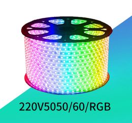 De nieuwste Waterdichte Hoogspanning 5050 Variabele Licht Kleurrijke RGB Patch Flexibele 220 V Lichtstrip LED-lichtstrip