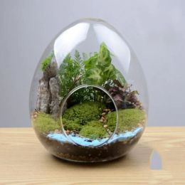 Jarrones decorativos de vidrio transparente térmico plantas de jarrón minimalista de bonsai modernos pot de flores caquepot para flores