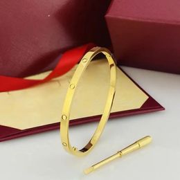 Dunne 4MM Armband charme armbanden Vrouwen Manchet 4CZ Titanium Stalen Schroef Liefde Armbanden Gouden Nagel Designer Armband koppels gift