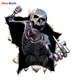 Trois Ratels ALWW20213 15x15 cm métal squelette en colère crâne avec barbe Premium drôle auto autocollant autocollants car3145645