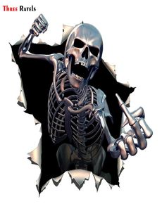 Trois Ratels ALWW20213 15x15 cm métal squelette en colère crâne avec barbe Premium drôle auto autocollant autocollants car3103398