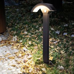 Thrisdar 60 cm Outdoor Pir Motion Sensor Pathway Lawn Light Aluminium Pilaarlampen Villa Landschap Bollard Kolom