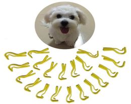 Tick Remover Hook Tool Pack X 2Sizes Human Dog Pet Horse Catju02849118448