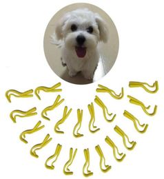 Tick ​​Remover Hook Tool Pack X 2Sizes Human Dog Pet Horse Catju02848923160