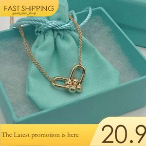 Tiffanybead ketting Tiffanyjewelry gouden kettingontwerper voor dames joodse sterling zilveren hoefijzer buckle ketting high edition mode high se 795