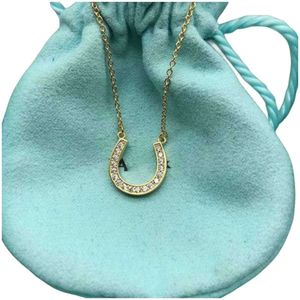 Tiffiny Ketting Designer Dames Originele Kwaliteit Kettingen Klassieke Diamant Kristal Minimalistische Inzet Sleutelbeenketting Valentijnsdag Cadeau