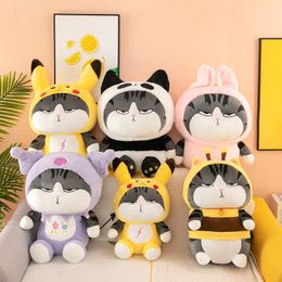 Tiktok wordt bij mijn King Cat Anime Lomi Cartoon Nieuwe schattige Doll Cat Pillow Gift Doll