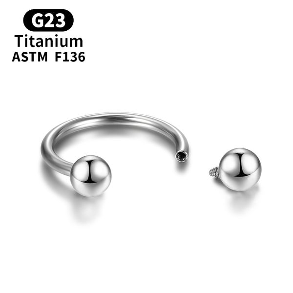 Boucles d'oreilles industrielles en titane pour femmes, Piercing Helix, Tragus, Clicker, Cartilage, Septum, charnière boule, Segment, bijoux pour le corps