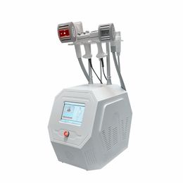 Forme populaire de velabody de rouleau de liposuccion de lipo cavitation de TM-926 amincissant la machine à vendre