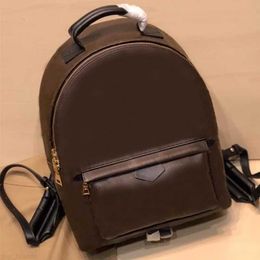 Pour de qualité, les nouveaux sacs de femmes portefeuille Palm Springs Europe Brand Designers Luxury N41612 Damier Cobal Mens Backpacks Mini Perfect Quality School Top