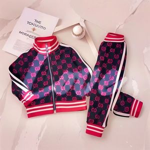 peuter jongen kleedt set 2 stuks hoodie en broek designer meisje paarse kleding herfst kindermode outfits kledingsets