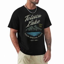 T-shirt t-shirt t-shirt toluca Lake silent hill shirts à manches courtes à manches courtes pour hommes t-shirts z9br #