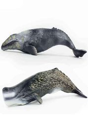 Tomy 30cm simulatie Marine Creature Whale Model Plerm Whale grijze walvis PVC Figuur Model Toys X11068059827