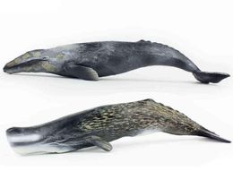 Tomy 30cm Simulation Créature marine Modèle de baleine Modèle de baleine gris PVC Figure modèle Toys X11061581207