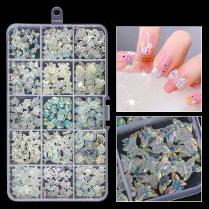 Outils 15 compartiment mixte nail art charme de charme