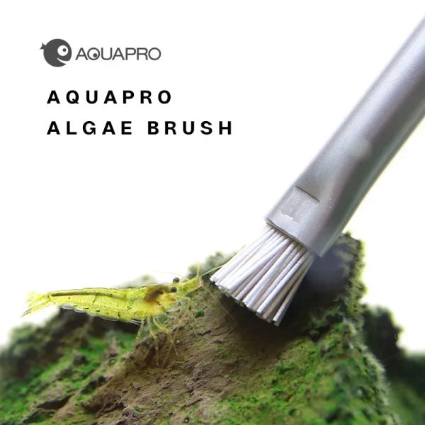 Outils Aquapro Brosse à algues Aquarium Fish Tank Aménagement paysager Brosse de nettoyage en acier inoxydable Usine d'eau ADA Même algues puissantes