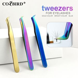 Outils Cozbird Tweezers for Filles Extensions Volume Volume Lashes Supplies Couleur légère précise