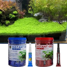 Outils colle à mousse Frags et plantes aquatiques mousse de corail fixée pour la maison fournitures pour Aquarium de roche colle instantanée fixation rapide 5g