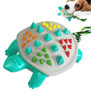 Bâton de meulage des dents, brosse à dents pour chien, jouet pour chien mordant la tortue