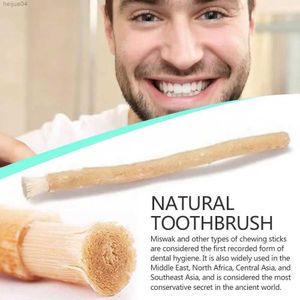 Tandenborstel 1pc Draagbare Miswak Siwak Natuurlijke tandenborstel Misvak Handmatige tanden Reizen Miswaak Traditionele tandenborstel