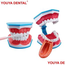 Modèle de brosse à dents de grandes dents avec des modèles de brossage dentaire de dentisterie de langue pour l'enseignement étudiant la livraison directe Santé Beauté Oral Dhsth