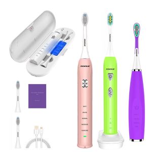 brosse à dents sonore électrique brosse à dents vibratrice dentaire USB Charge de voyage sans fil brosse à dents Remplacement de la tête de la tête de la maison