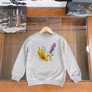 Top Autumn Kids Sweater Végétal et Modèle de fruits Impression Sweats Sweats pour Boy Girl Taille de 100-160 cm Child Pillover Enfant Oct05