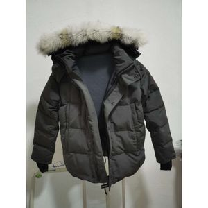 Parka en duvet de fourrure de loup pour hommes, veste d'hiver, marine arctique, noir, vert, rouge, sweat à capuche d'extérieur, Manteau Coats49