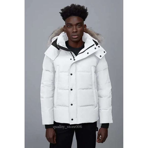 Parka d'hiver en duvet de fourrure de loup pour hommes, veste d'hiver, marine arctique, noir, vert, rouge, sweat à capuche d'extérieur, Manteau Doudoune, manteaux 50