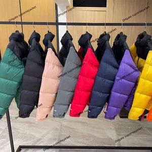 Top Designer Jacket Tnf1996 Down Jacket 700 haute brodée 350g hommes et femmes Couples 90% dédouanement en gros manteau chaud extérieur