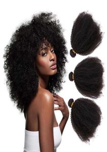 Hoogwaardige Zwarte Vrouwen Houden Van Ruwe Indiase Remy Haar Hele Afro Kinky Krullend Bundels Onverwerkte Natuurlijke Kleur79121879241688