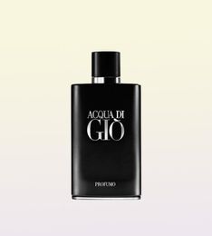 Perfume pur de qualité supérieure 100 ml noir passionné de parfum de perfume de Cologne Splame3815338
