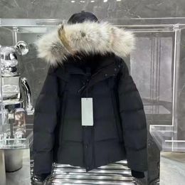 Top Wyndham-winterjas voor heren Arctic Coat Down Parka Hoodie met bont Sale Zweden Homme Doudoune Manteau Canada Designer 02