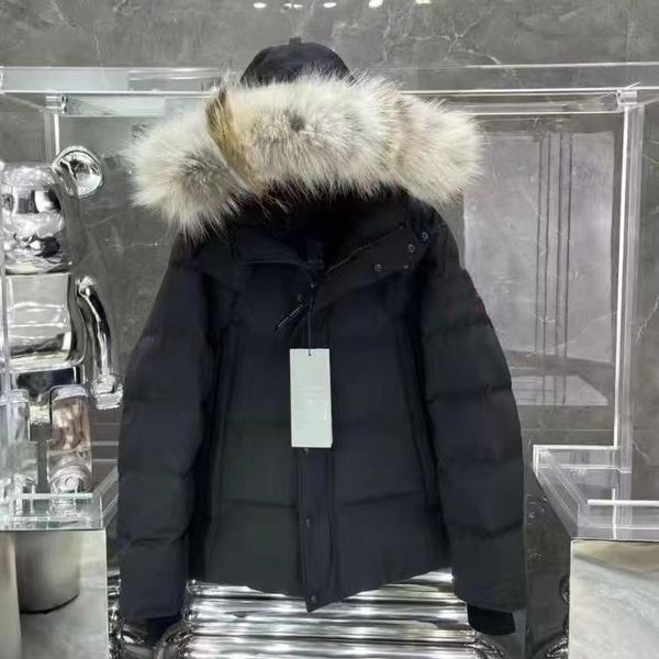 Veste d'hiver Wyndham pour hommes Manteau arctique Parka en duvet à capuche avec vente de fourrure Suède Homme Doudoune Manteau Canada Designer 02