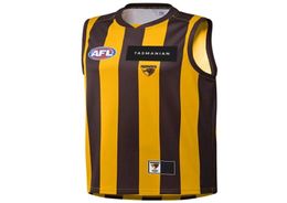 Qualité supérieure 2022 HAWTHORN HAWKS AFL HOME GUERNSEY HOMMES Taille S3XL Imprimer Nom Personnalisé Numéro Delivery99175171283413