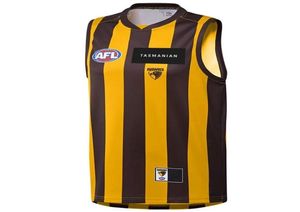 Topkwaliteit 2022 HAWTHORN HAWKS AFL HOME GUERNSEY MENS Maat S3XL Afdrukken Aangepaste naam Nummer Levering99175171283413