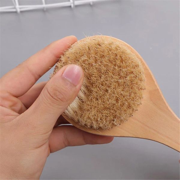 Brosse de bain sèche pour le corps, épurateur de dos, antidérapant, manche court en bois, poils naturels, douche, masseur exfoliant, qualité supérieure