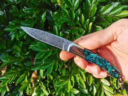 Topkwaliteit H2376 vouwmesmes 67 lagen vg10 damascus stalen mes abalone shell wtih messing handvat buiten camping wandel EDC Pocket Folder messen