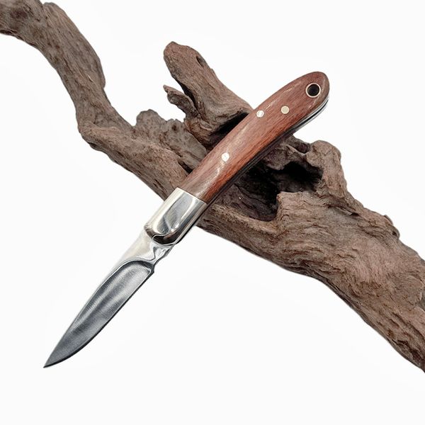 Cuchillo plegable de fruta de cocina H6882 de alta calidad 420C hoja de satén de madera con mango de cabeza de latón pequeños cuchillos de bolsillo EDC