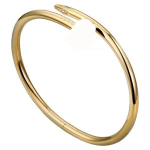 Topkwaliteit nagelarmband Designer Luxe Titanium Staal Diamanten Bangle Schroef Manchet Armbanden Vrouwen Mannen hoge merk sieraden voor bruiloftscadeau