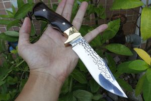 Topkwaliteit Outdoor Survival Hunting Mes Hoge Koolstofstaal Satijn Bowie Blade Volledige Tang Ebony Handvat Vaste Messen Messen Lederen Schede