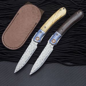 Topkwaliteit R7802 Damascus Pocket Folder mes VG10 Damascuss stalen mes Livewood / ebbenhout met stalen hoofdgreep EDC vouwmessen lederen schede