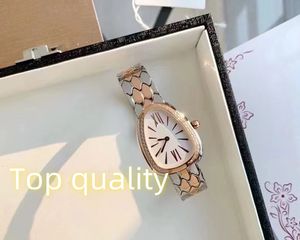 Topkwaliteit vrouw horloges 33 mm kwart quartz beweging slangvormige horloge ontwerper luxe horloge met diamanten kijk lumineuze saffier waterdichte horloge set valentijn cadeau