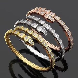 Top pour femmes bracelet de créateur de tennis en bracelet de tennis diamant beau serpent argenté rose or jiware de cuivre assiette en cuivre charme de mariage