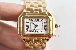 Topselling 2 Style Watch 18 K Or jaune et couleur rose Dernière version de quartz de haute qualité 22 mm 27 mm cadran femme1157888