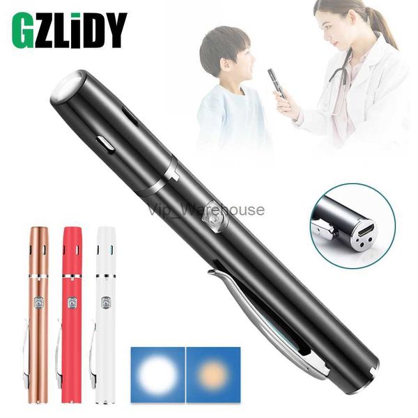 Antorchas Mini linterna LED Luces de pluma médica Antorcha portátil Blanco + Luz blanca cálida con clip de bolsillo Lámpara para el hogar Iluminación médica HKD230902